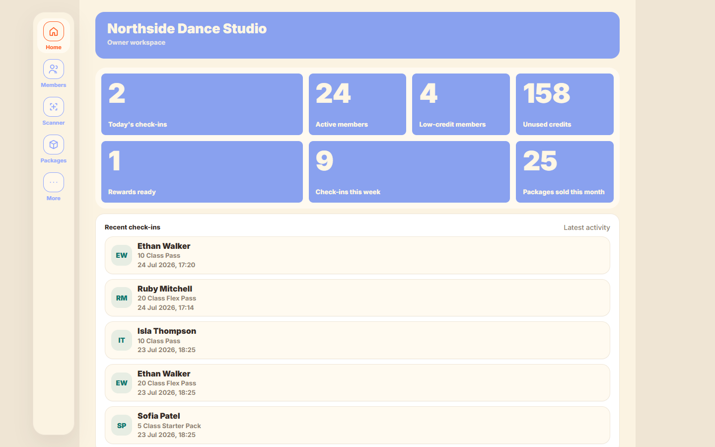 Punchless owner dashboard on desktop